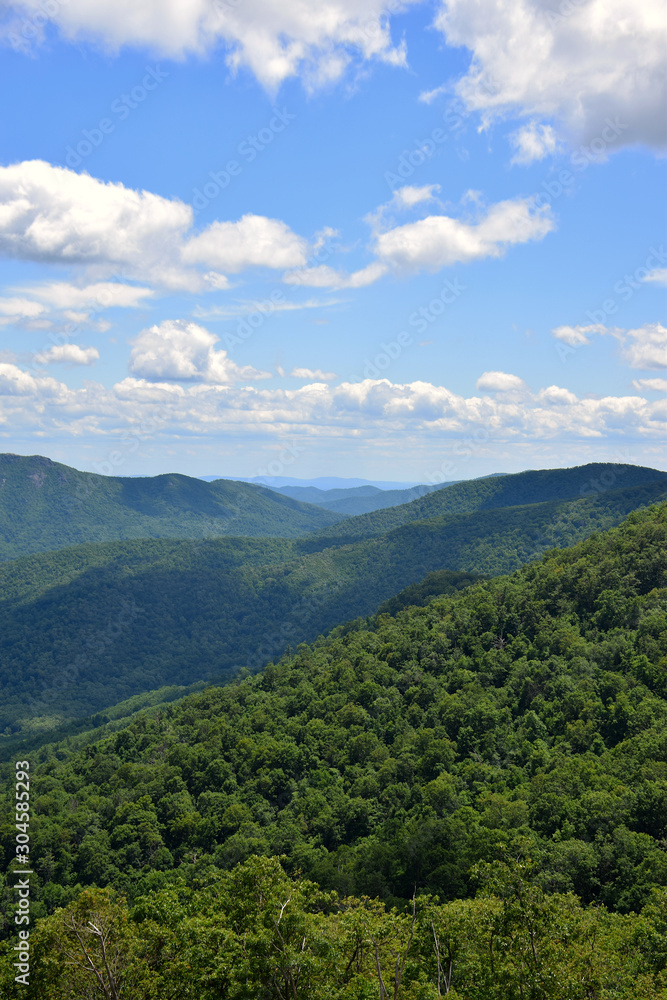 Gorgeous summer day in the Shenandoah National Park, Virginia, USA