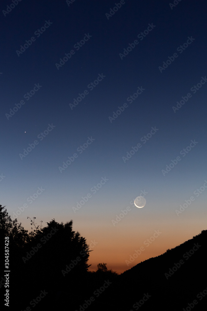 Moon Moon