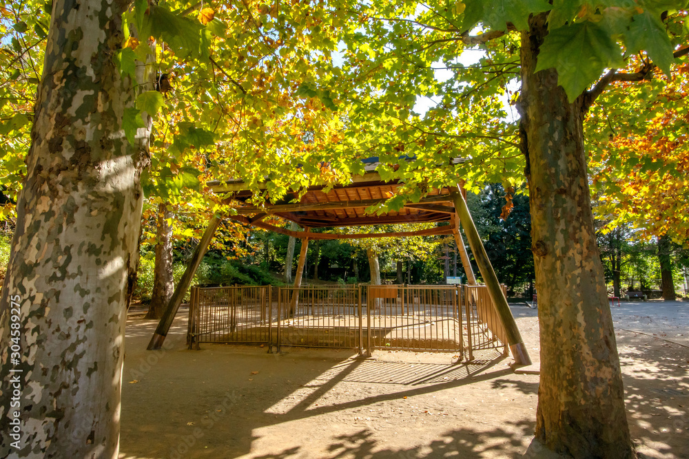 氷川の杜公園の土俵