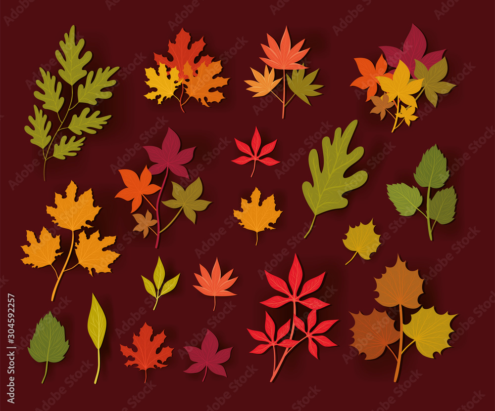Set of autumn leaves vector design Set of autumn leaves vector design