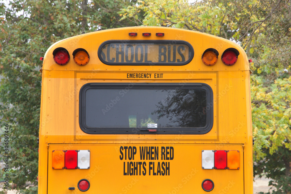 Rear of a traditional yellow school bus with trees all around. School