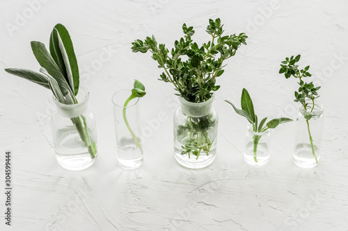Healing herbs in glasses on white background