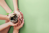 hands holding seedling plants in newspaper pot, montessori education , CSR social responsibility, Eco green sustainable living, zero waste, plastic free, reponsible consumption, earth day concept