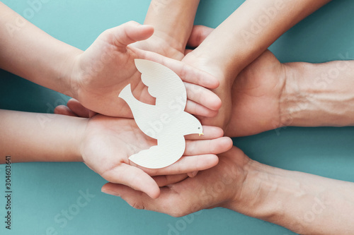 Fotografering Adult and child hands holding white dove bird on blue background, international