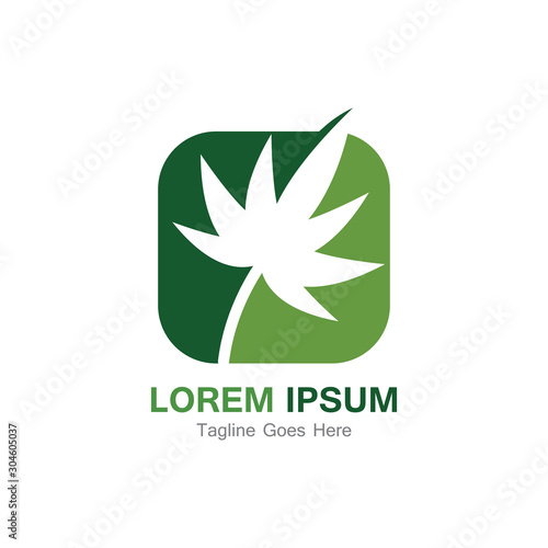 Cannabis leaf template vector illustration icon design