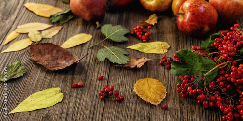 Harvest of red apples, autumn leaves and red berries on old boards. Autumn background.