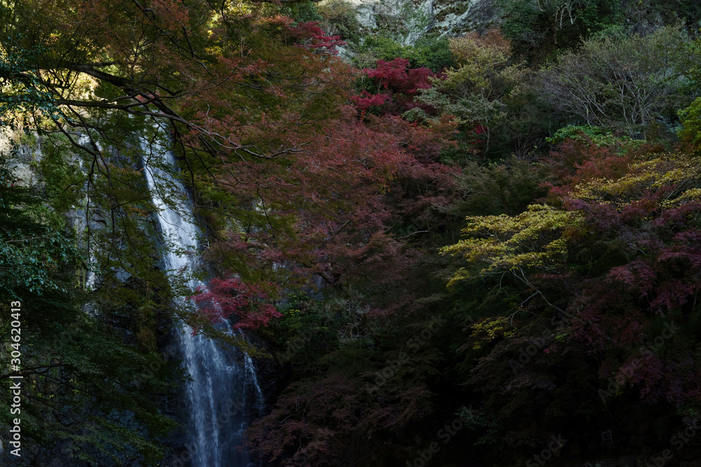 箕面の紅葉・箕面大滝 箕面の紅葉・箕面大滝