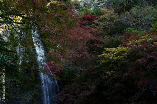 箕面の紅葉・箕面大滝