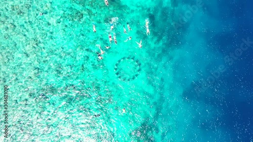 Wallpaper Mural snorkeling class in the tropical ocean. Exploration of Belize coral reef. group of tourists swimming and diving in the crystal clear sea Torontodigital.ca