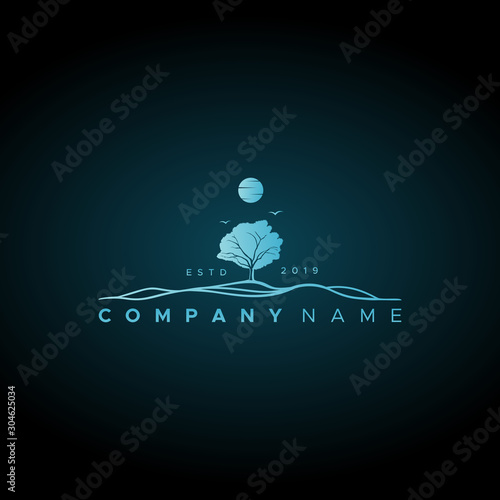 simple and luxurious moonlight design at night