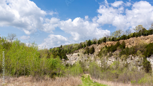 landscape with cliffs and tees 