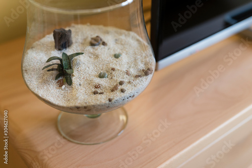 Glass jar with sand and stone-shaped cacti.