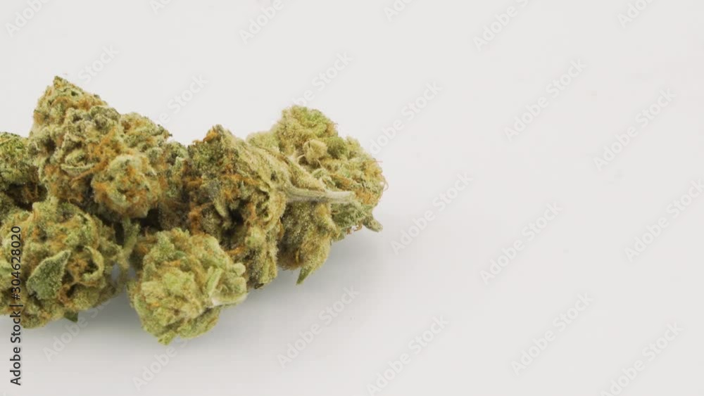 Marijuana Strain, Birthday Cake, Looping Rotation,
Eighth Ounce, Left Frame, in 4K Ultra HD Resolution Marijuana Strain, Birthday Cake, Looping Rotation,
Eighth Ounce, Left Frame, in 4K Ultra HD Resolution