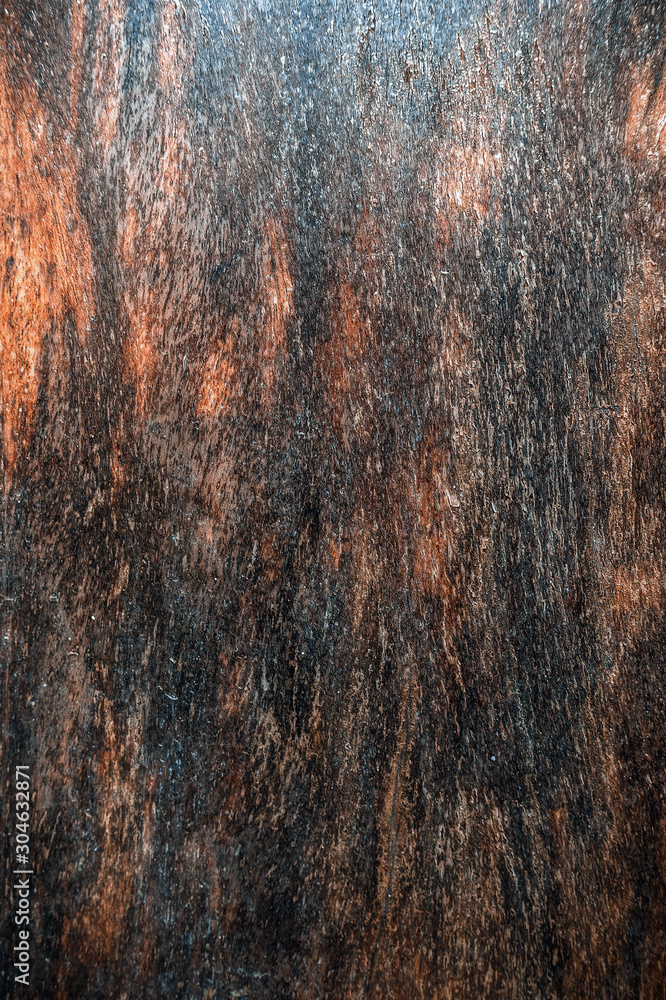 Fototapeta premium Wooden texture designed for your background