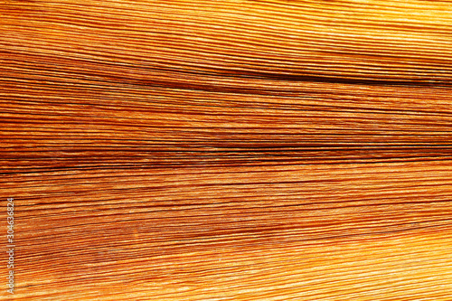 abstract wood texture background
