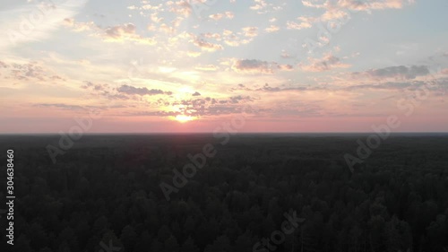 Forest, pines, sunset, aerial video