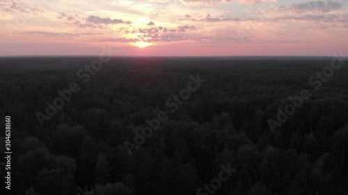 Forest, pines, sunset, aerial video