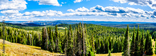 Panorama View from Mt. Washburn Outlook on the Grand Loop Road in Yellowstone National Park, Wyoming, United States