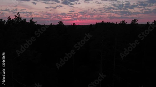 Forest, pines, sunset, aerial video