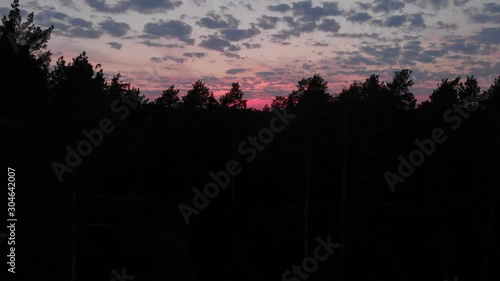 Forest, pines, sunset, aerial video