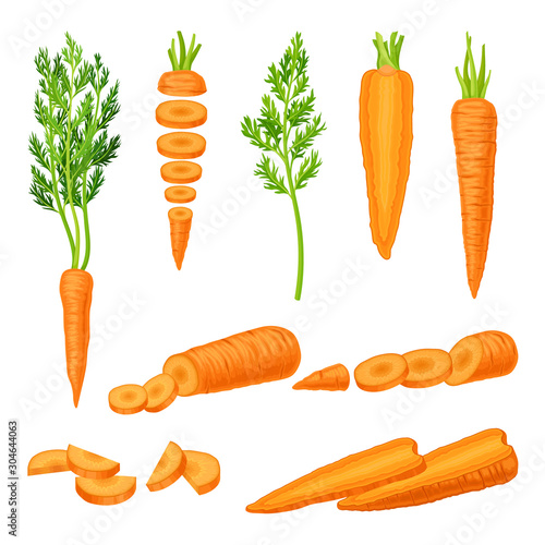 Whole and Cut into Slices Carrot Vector Set