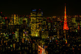 日本 東京 高層ビルのある風景　typical sight of Tokyo, Japan