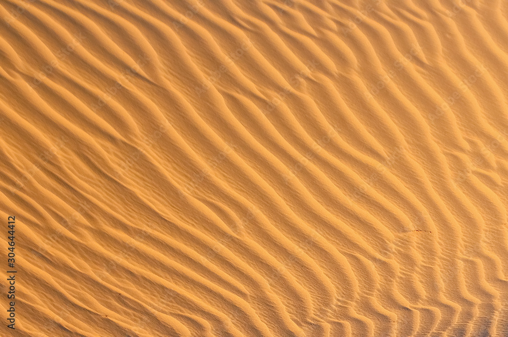Ripples in the sand Ripples in the sand