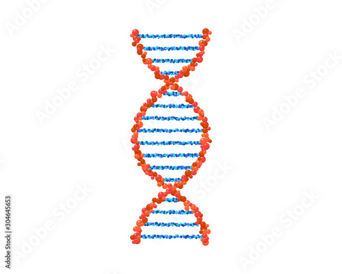 DNA spiral isolated. Vector deoxyribonucleic acid gene part model. Simple microbiological genetic helix structure on white background