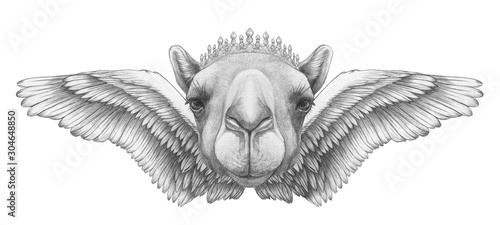 Photo Portrait of Camel with wings. Hand drawn illustration.