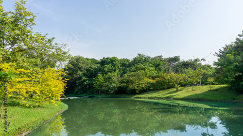 Fototapeta Naklejka Na Ścianę i Meble -  A lake in public park, greenery trees, shrub and bush, green grass lawn in a good care maintenance landscapes, decorated with arch curve concrete bridge cross the water under white clouds blue sky