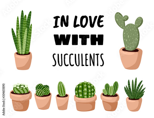 In love with succulents postcard. Potted succulent plants in hygge interior flyer. Cozy lagom scandinavian style poster