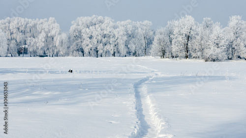 Winter landscape. Snow covered trees and bushes. The path in the snow, frost on the trees. Christmas greetings. New Year.