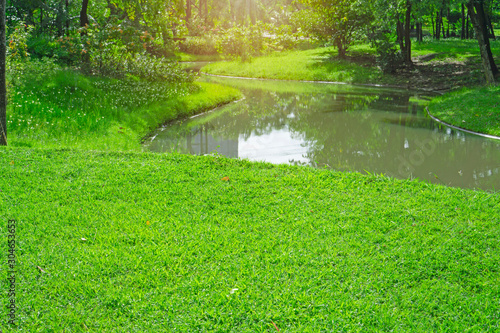 Fresh green carpet grass yard, smooth lawn in a beautiful garden and good care landscaping, beside a curve long lake and trees in a public park photo