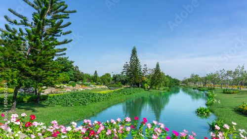 Beautiful landscape in a good maintenance garden of the public park, there are Norfolk Island photo