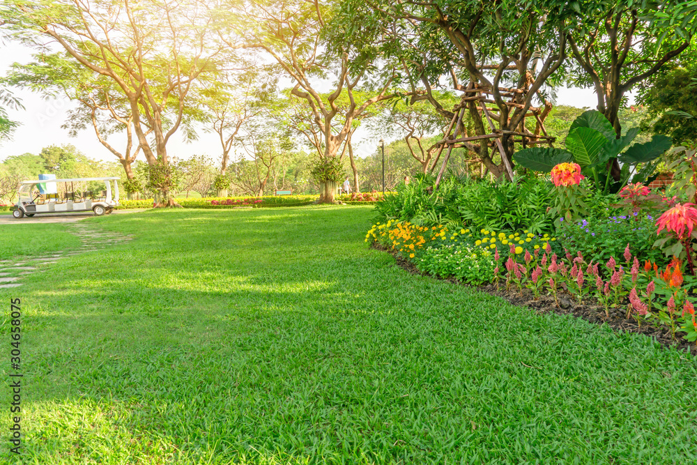 Obraz premium Smooth green grass lawn in good care maintenance garden, flowering plant, shrub and trees on backyard under morning sunlight, small pattern of grey concrete stepping stone on left of the park