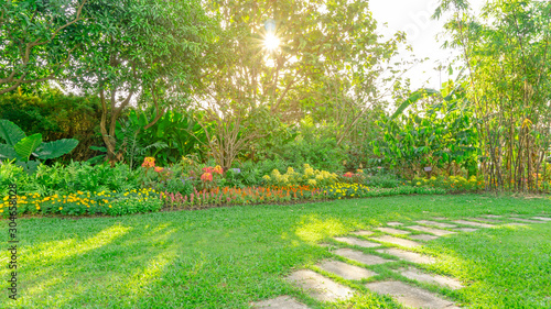 Green grass lawn in a garden with pattern of grey concrete stepping stone , Flowering plant, shrub and trees on backyard under morning sunshine with good care landscaping in a public park