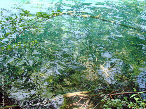 Panorama of a clear, transparent surface of a mountain lake, through which water you can see the bottom covered with plants and old trees.