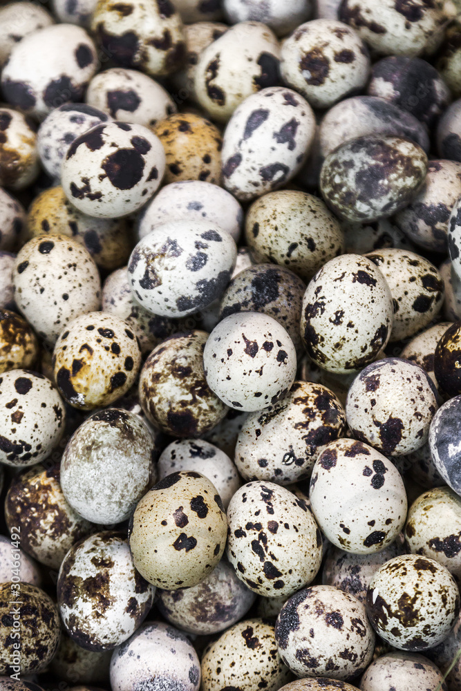 quail eggs background on the store counter or in production