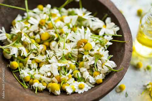 Dried chamomile flowers in wooden bowl photo