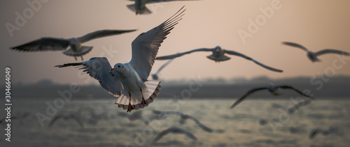 Canvas Print Varanasi, Uttar Pradesh / India - November, 2019