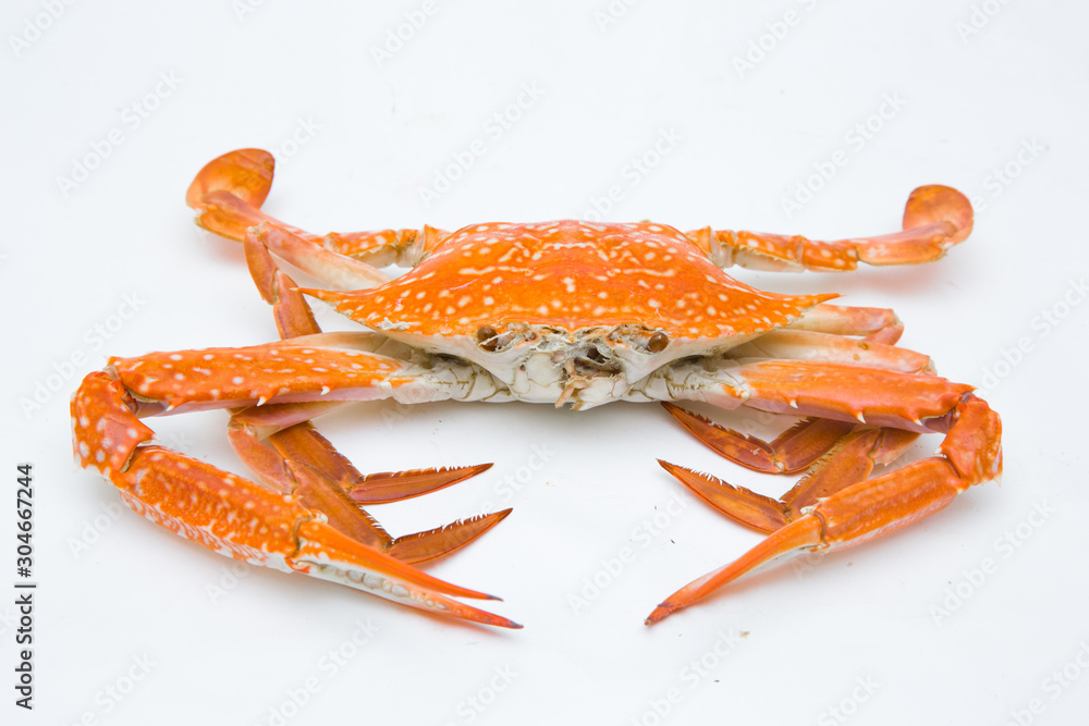 steamed crab on white background.