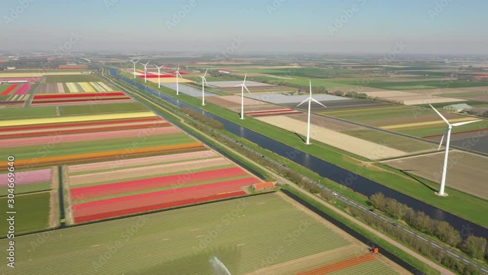 Drone flight over beautiful Dutch landscape with colorful blooming tulip flower fields, dykes, modern wind turbines, canals, and a highway, rural countryside scene in the Netherlands Drone flight over beautiful Dutch landscape with colorful blooming tulip flower fields, dykes, modern wind turbines, canals, and a highway, rural countryside scene in the Netherlands