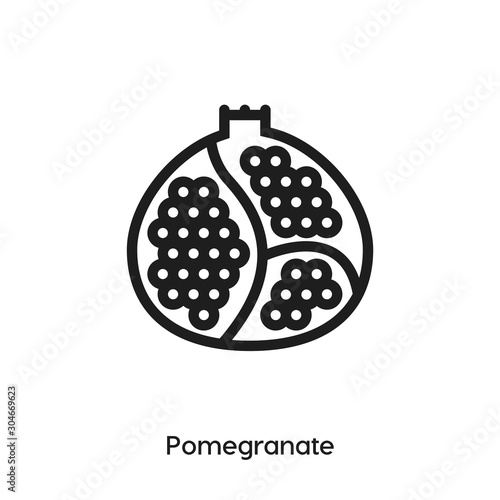 pomegranate icon vector