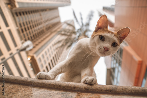 The incredible scenery of the city of Dubai. Skyscrapers and Landmarks