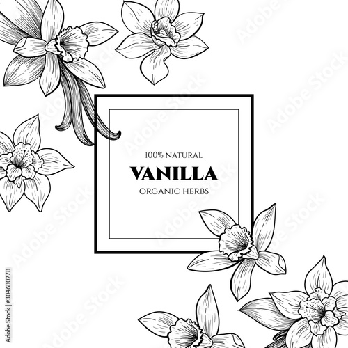 Vector frame with vanilla flowers and pods. Hand drawn. Vintage style