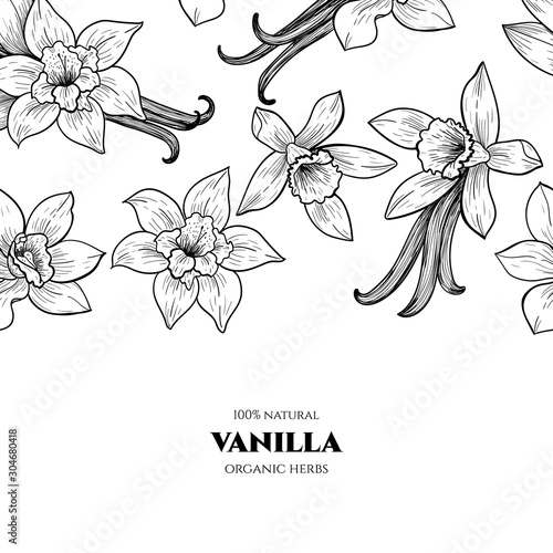 Vector frame with vanilla flowers and pods. Hand drawn. Vintage style