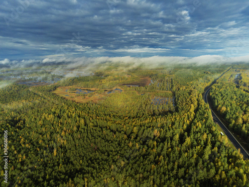 Aerial view, Green forest, Blue cloudy sky, Latvia. Warm autumn day.