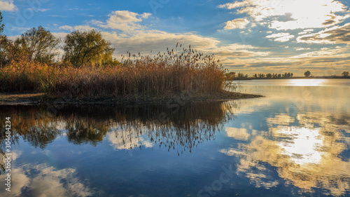 reflection of trees in water
