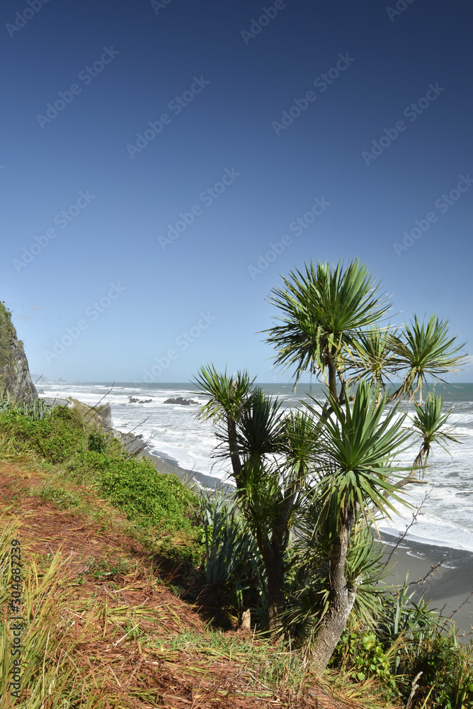 Obraz premium palm trees on the beach