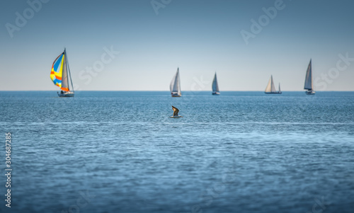 Sailing Regatta in the wind through the waves at the sea